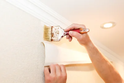 Pose de papier peint à Mendionde — revêtements muraux et toiles de verre
